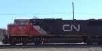 CN A431